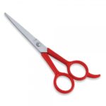 Economy-Scissor16.jpg