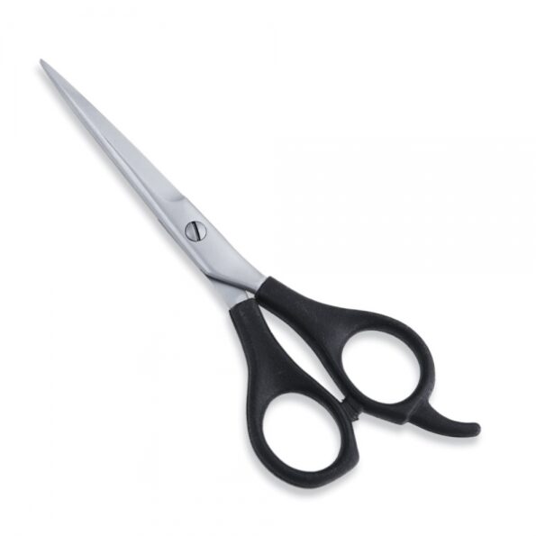 Economy-Scissor19.jpg